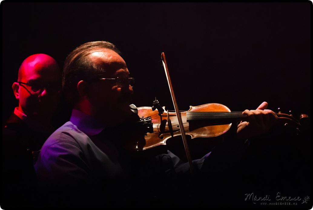 Csík Zenekar - 2013